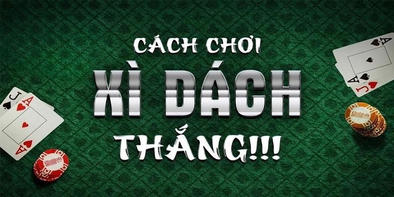 Cách chơi xì dách - Hướng dẫn chi tiết cho người mới bắt đầu